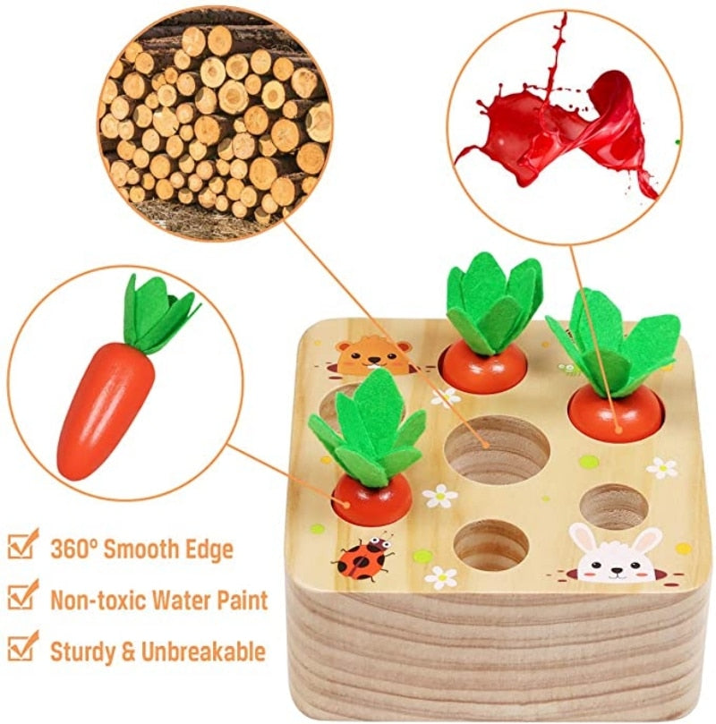 Wooden Carrot Puzzle