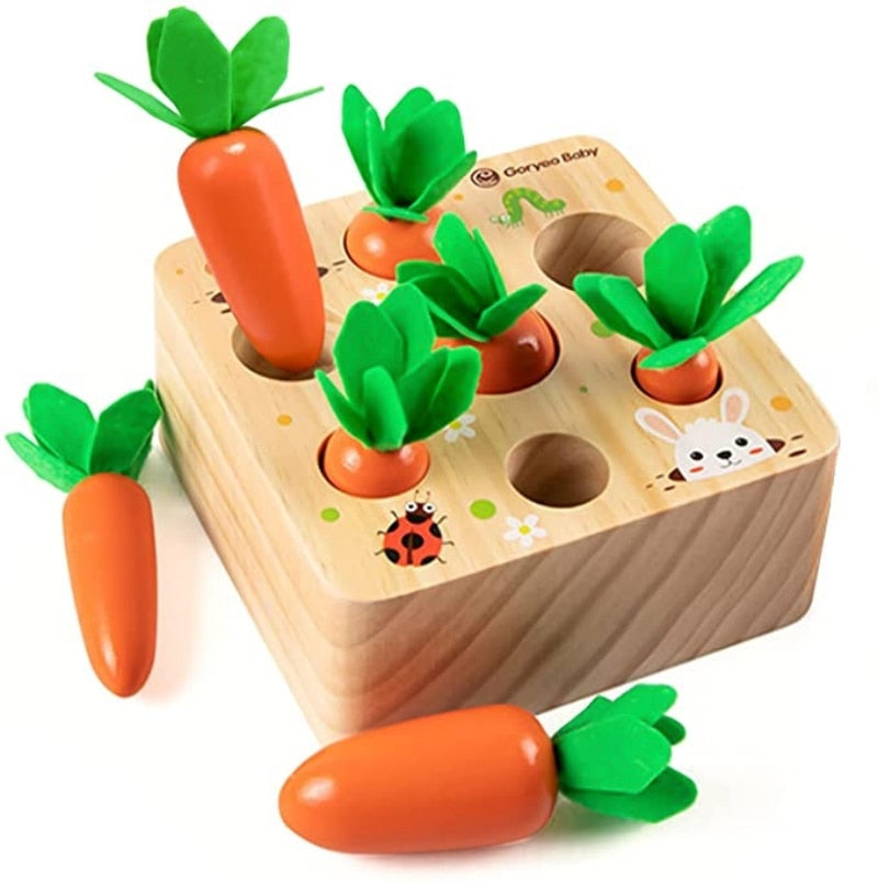 Wooden Carrot Puzzle