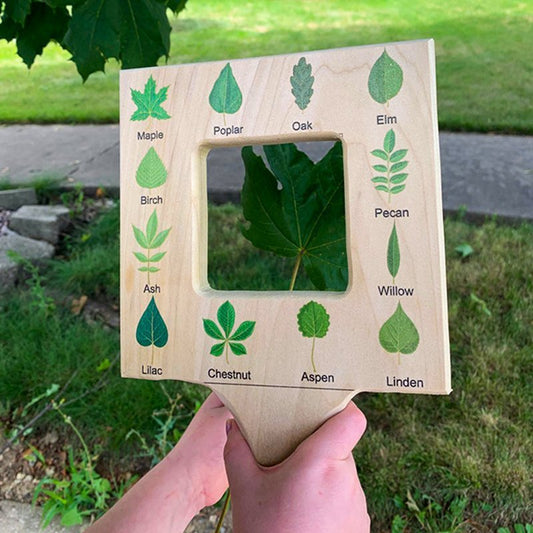 Wooden Montessori Nature Tool